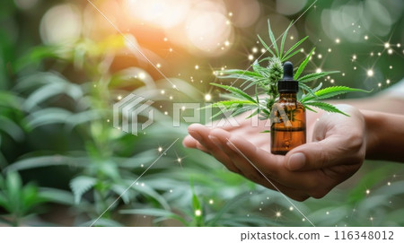 A person is holding a bottle of cannabis oil and a plant 116348012