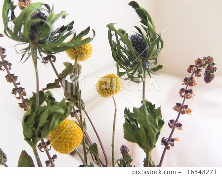 室內綠色花束 116348271