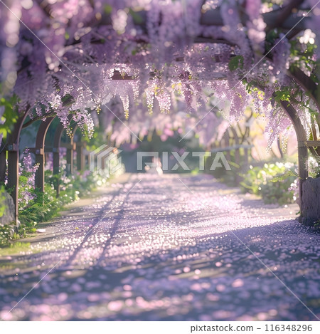 Whispering Wisteria: A Serene Tunnel of Purple Blossoms 116348296