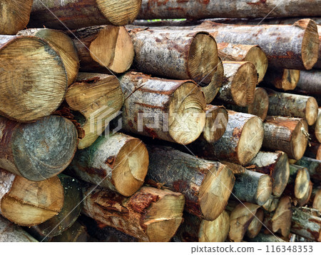 Logs are neatly piled on top of one another, forming a stack 116348353