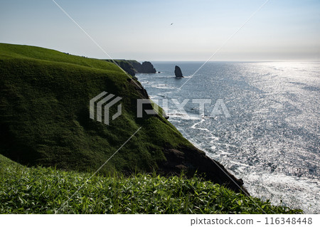 站在懸崖上的岩石 站在懸崖上的岩石 116348448