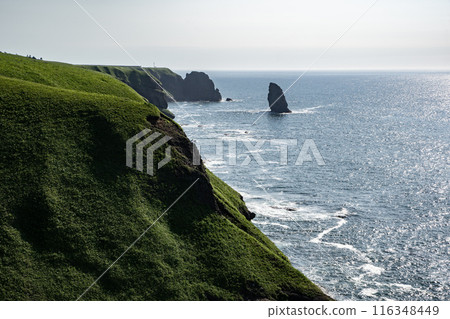 Rocks standing on cliffs 116348449