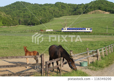 日高本線的回憶 日高本線的回憶 116349200