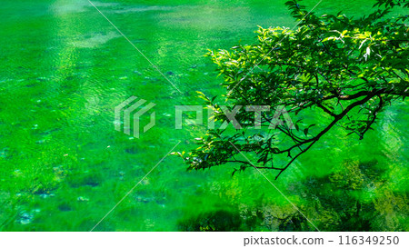Ryugakubo (Ryugakubo) Ryugakubo (Ryugakubo) 116349250