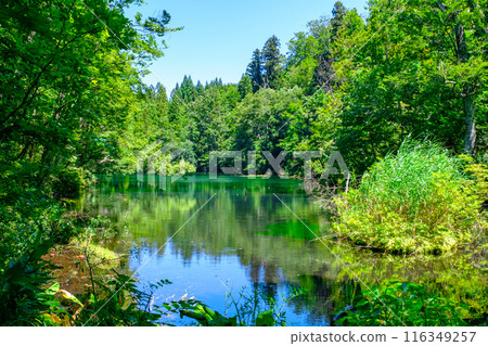 Ryugakubo (Ryugakubo) Ryugakubo (Ryugakubo) 116349257