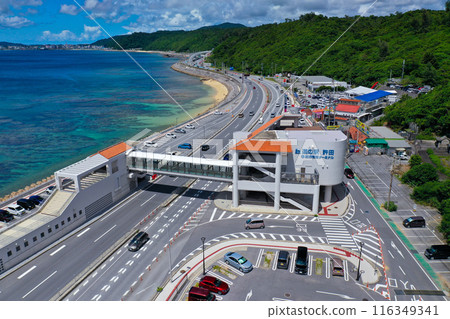 Roadside Station Kyoda, northern Okinawa 116349341