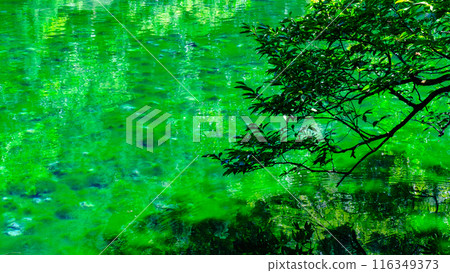 Ryugakubo(Ryugakubo) Ryugakubo(Ryugakubo) 116349373