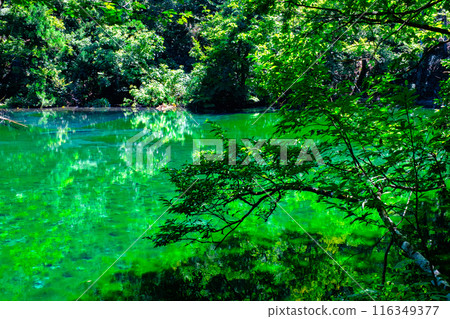 Ryugakubo (Ryugakubo) 116349377