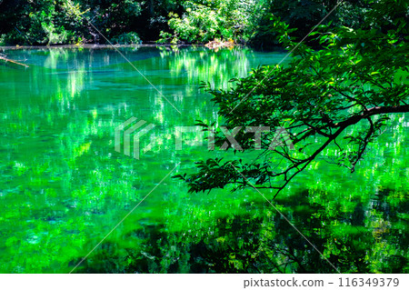 Ryugakubo (Ryugakubo) 116349379