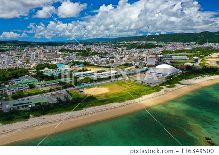 沖繩本島北部名護市21世紀森林公園 沖繩本島北部名護市21世紀森林公園 116349500