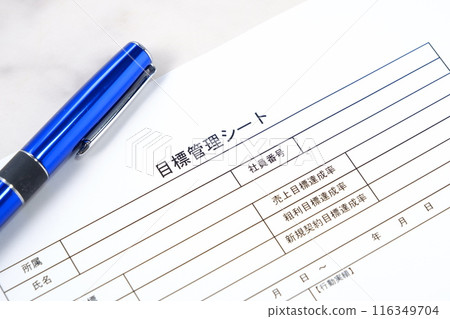 Write a "goal management sheet", a tool for clearly defining personal and team goals and tracking progress 116349704