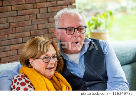 An elderly couple sharing happy moments on the couch in their living room together 116349783