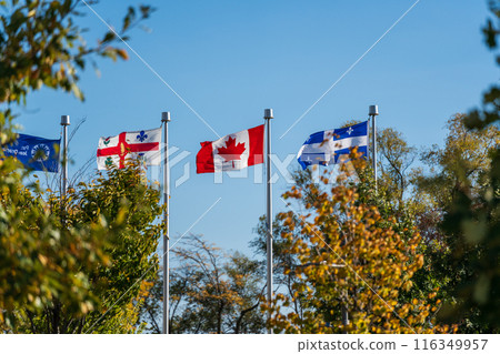 Quebec, Canada and Montreal flags waving in the Jean-Drapeau Park, Montreal, Quebec, Canada. Quebec, Canada and Montreal flags waving in the Jean-Drapeau Park, Montreal, Quebec, Canada. 116349957