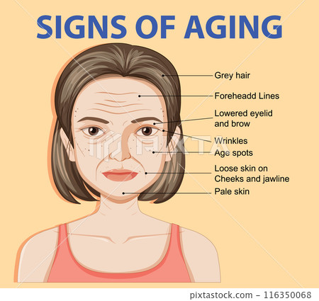 Signs of Aging Illustration 116350068