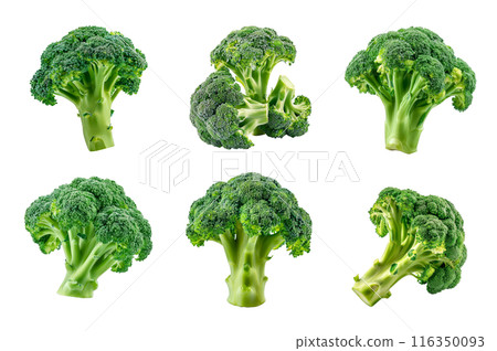 Broccoli Collection Bundle Set Isolated on a Transparent Background 116350093