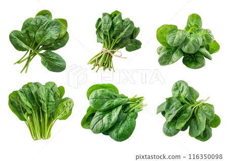 Spinach Collection Bundle Set Isolated on a Transparent Background 116350098