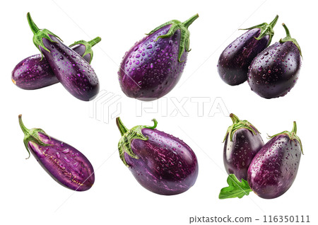 Eggplant Collection Bundle Set Isolated on a Transparent Background Eggplant Collection Bundle Set Isolated on a Transparent Background 116350111