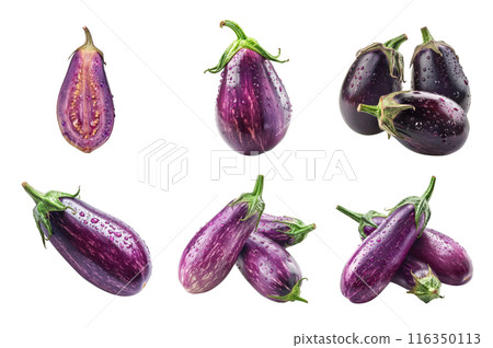 Eggplant Collection Bundle Set Isolated on a Transparent Background 116350113