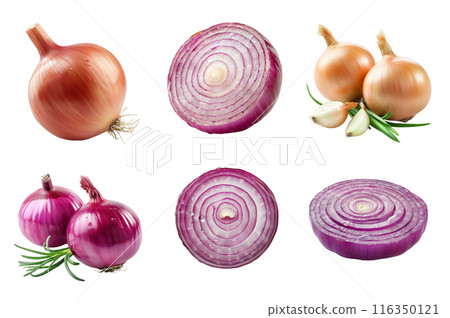 Onion Collection Bundle Set Isolated on a Transparent Background 116350121