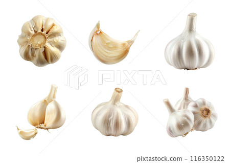 Garlic Collection Bundle Set Isolated on a Transparent Background 116350122