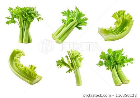 Celery Collection Bundle Set Isolated on a Transparent Background Celery Collection Bundle Set Isolated on a Transparent Background 116350128
