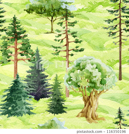Hand drawn different growing trees seamless pattern. Forest trees seamless pattern. Watercolor illustration. Painted oak, pine, fir tree, bushes elements. Green various plants natural park landscape 116350196