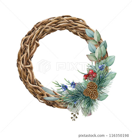 Winter floral vine wreath with pine and eucalyptus twigs. Watercolor illustration. Hand drawn twisted vine wreath, pine branches, eucalyptus, juniper, red berries. Christmas time festive floral decor Winter floral vine wreath with pine and eucalyptus twigs. Watercolor illustration. Hand drawn twisted vine wreath, pine branches, eucalyptus, juniper, red berries. Christmas time festive floral decor 116350198