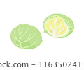 Cabbage cut in half 116350241