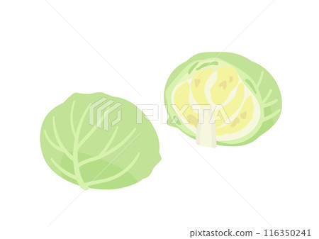 白菜切成兩半 白菜切成兩半 116350241
