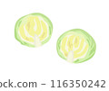 Cabbage section 116350242