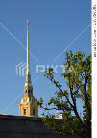 Bell tower of Peter and Paul Cathedral. Bell tower of Peter and Paul Cathedral. 116350398