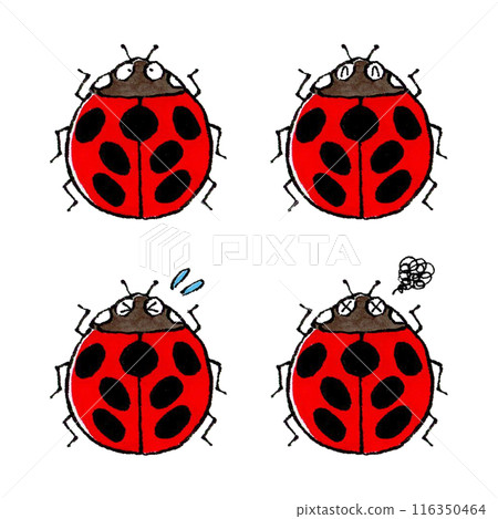 七星瓢蟲套裝 七星瓢蟲套裝 116350464