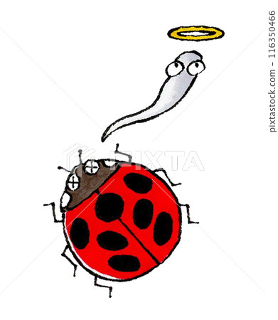 死瓢蟲 死瓢蟲 116350466