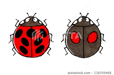 七星瓢蟲與奈美瓢蟲套裝 116350468