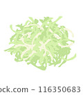 Cabbage, shredded 116350683