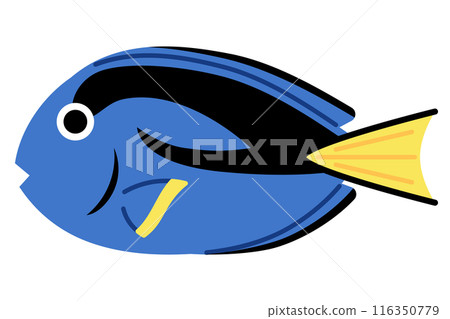 Illustration of blue tang 116350779