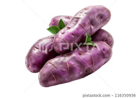Fingerling potatoes isolated on a white background 116350936
