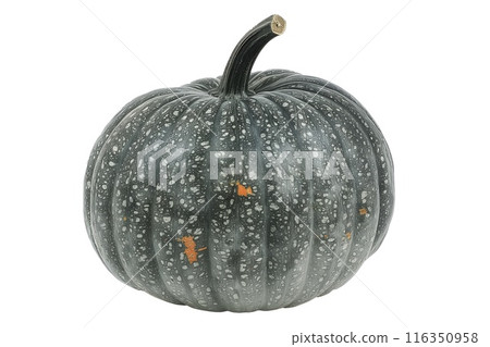 Connecticut pumpkin with a green stem isolated on a white background 116350958