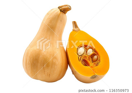 butternut squash isolated on a white background, great for autumn themes and decorations 116350973