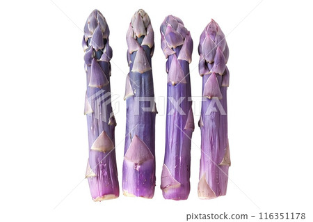 Fresh purple asparagus spears isolated on a white background 116351178