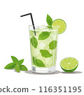 Mojito Vector Illustration Isolated on White Background 116351195