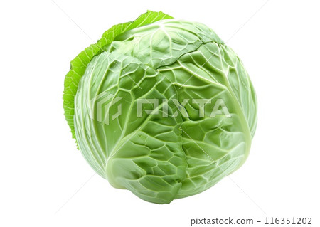 Fresh green cabbage head with crumpled leaves isolated on a white background 116351202