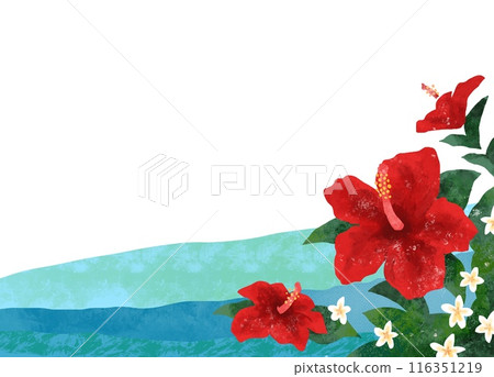 Vivid resort image background material of hibiscus and the sea 116351219