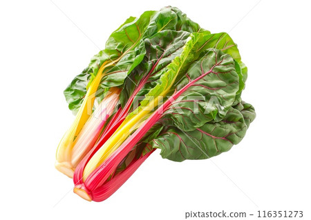 Red chard salad with both the stalks and leaves visible isolated on a white background Red chard salad with both the stalks and leaves visible isolated on a white background 116351273