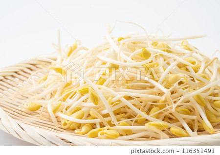 Bean sprouts close-up 116351491