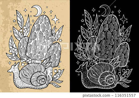 Black and white celestial mystic mushrooms with magic and floral decorative design elements, snail, witchcraft symbols. Esoteric and witchy objects, tattoo concept, hand drawn clipart Black and white celestial mystic mushrooms with magic and floral decorative design elements, snail, witchcraft symbols. Esoteric and witchy objects, tattoo concept, hand drawn clipart 116351557