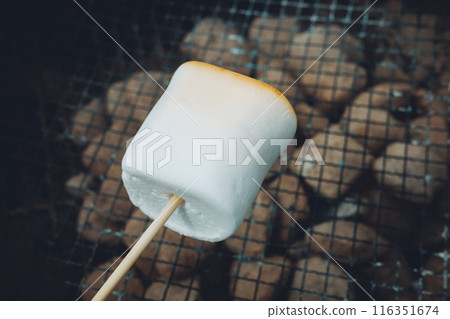 Grilled marshmallows 116351674