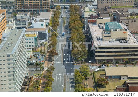 [Chiba City, Chiba Prefecture] Cityscape of the city seen from above 116351717