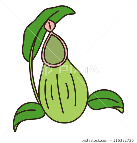 Ugubon Kuzura Ugubon Kuzura 116351726