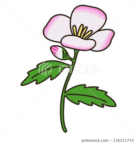 Hiltzakimusuki Hiltzakimusuki 116351733